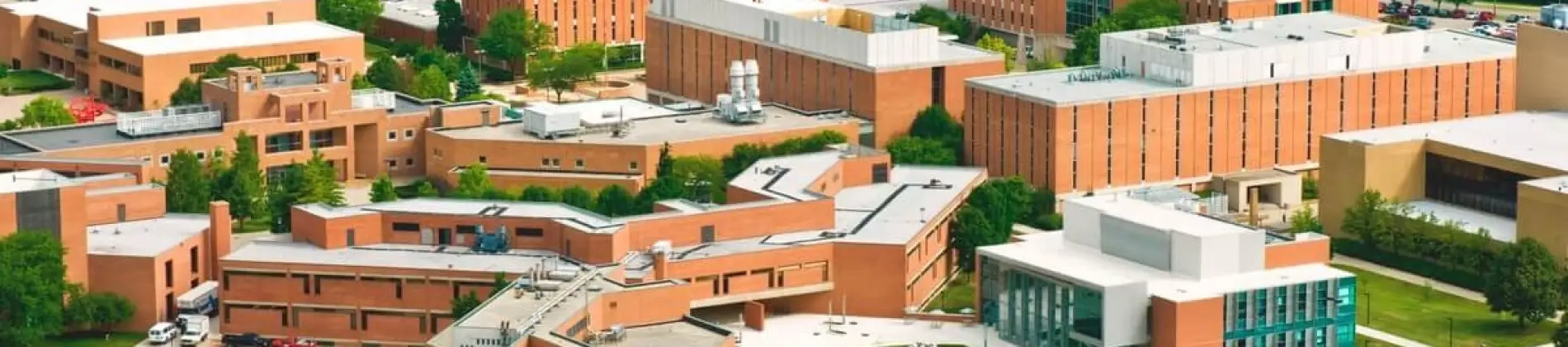 English, Teaching English as a Foreign Language